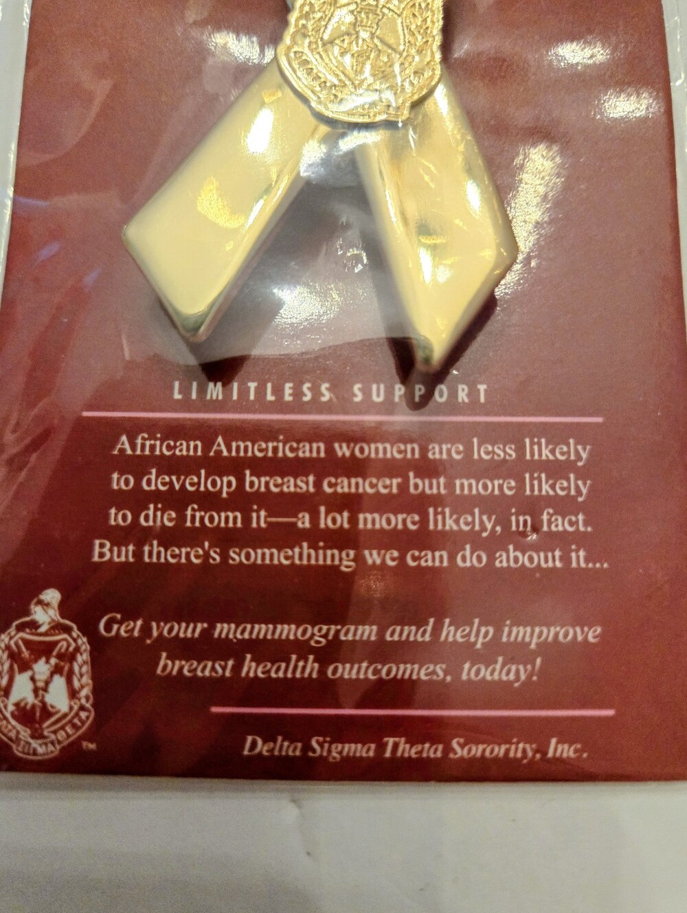 Delta Sigma Theta Cancer Awareness Support Pin Goldtone NEW - Picture 5 of 8